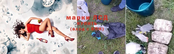 винт Алзамай