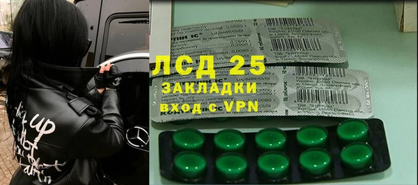 винт Алзамай