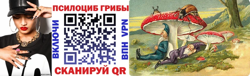 Псилоцибиновые грибы Psilocybe  Купить  Гаджиево 