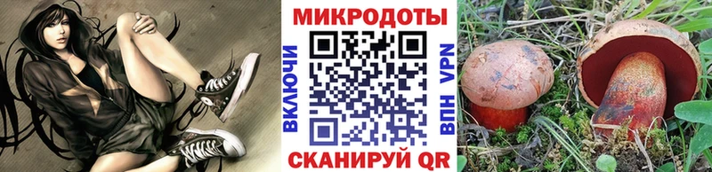 Псилоцибиновые грибы ЛСД Гаджиево